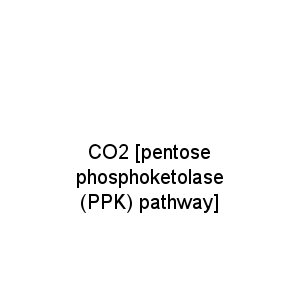 CO2 [pentose phosphoketolase (PPK) pathway]